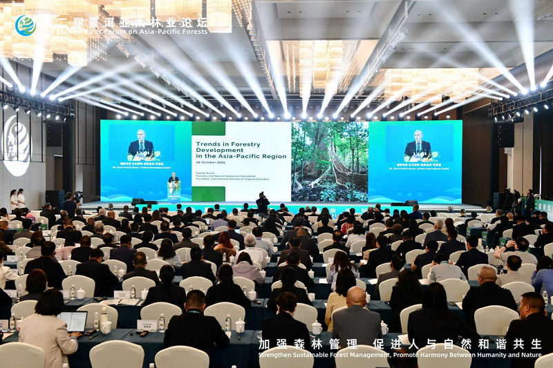 1761726280567052.png 图片10.png