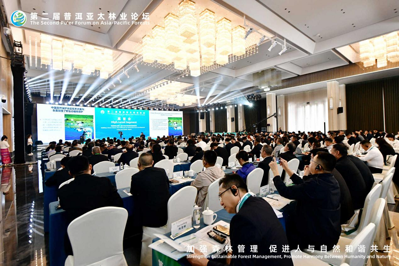 1761726313109615.png 图片11.png