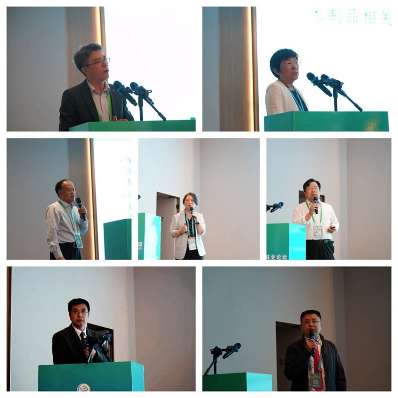 1761739313304992.png 图片13.png