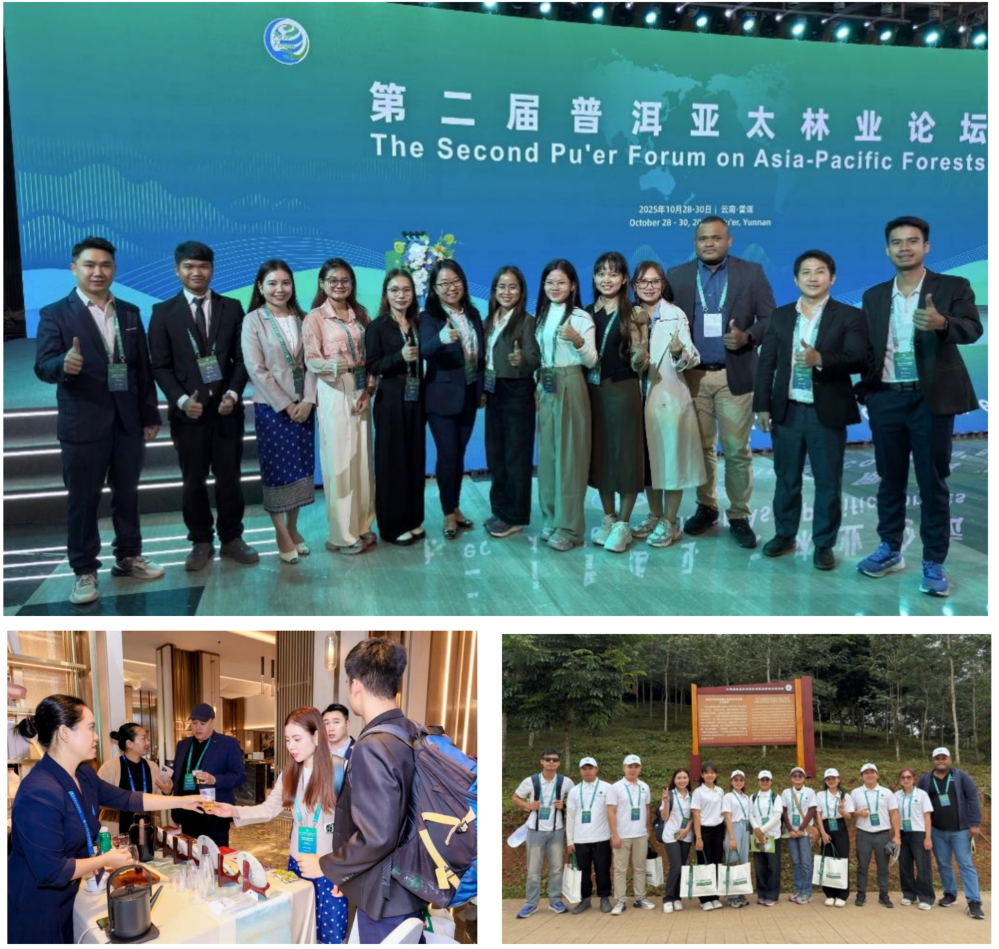 1763704474929770.png 1763704474929770.png