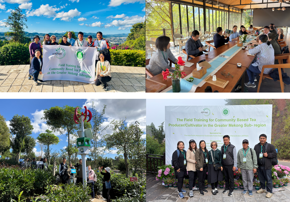 1764134853843729.png 1764134853843729.png