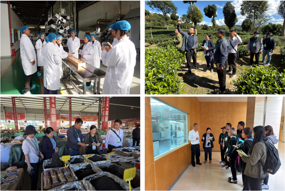 1764134929805200.png 1764134929805200.png