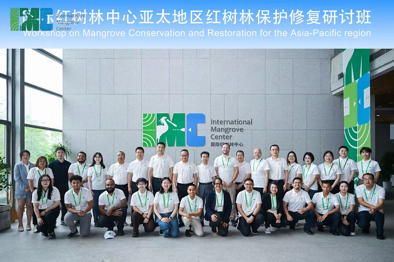 1781230461558352.png 图片2.png